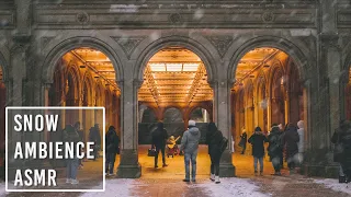 Walking in Snow from NYC 59th St to Bethesda Terrace | Ambience | Binaural ASMR