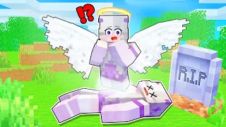 Sheyn DIED and became an ANGEL in Minecraft!