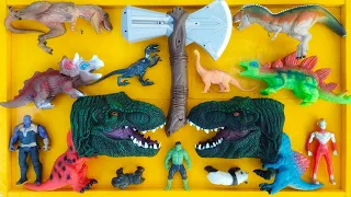 Dinosaurus Jurassic world dominion: giganotosaurus, T-rex, raptor, stegosaurus, Hero, animals