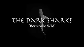 Born to be Wild - The Dark Sharks