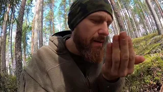 7 vs. Wild [Youtube Kacke] | Fritz isst eine Kröte