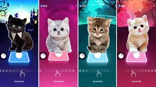 CUTE CATS WEDNESDAY LADY GAGA BLOODY MARY vs BLACKPINK LISA MONEY vs JISOO FLOWER CAT DDU DU DDU DU