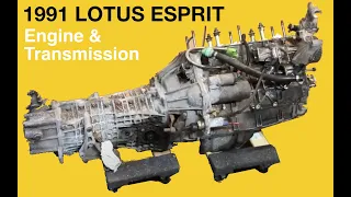 1991 Lotus Esprit Restoration Project - 10 (A look inside the engine)