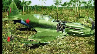 НАШЛИ САМОЛЕТ ВРЕМЕН ВОВ С ПИЛОТОМ И ДОКУМЕНТАМИ / FOUND A WORLD WAR II PLANE WITH A PILOT