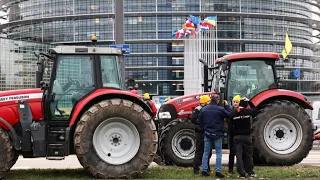 Farmers Protests In Europe: What You Need to Know