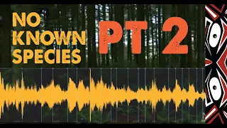 Bigfoot Howl Slowed Down Reveals Surprise (B.C. Howl Pt 2)