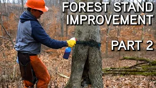 Forest Stand Improvement With Dr. Craig Harper LIVE SEMINAR | Part 2