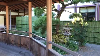 竹垣製作事例🎋神奈川県のお寺で建仁寺垣　Bamboo fence making