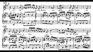 Schlafe, mein Liebster, genieße der Ruh (Weihnachtsoratorium - J.S. Bach) Score Animation