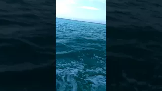 Boat ride way to male from baros Maldives