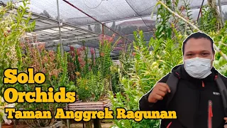 Solo Orchids, Kavling Termewah di Taman Anggrek Ragunan (TAR)