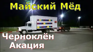 Черноклён - Акация / Весенний мёдосбор.