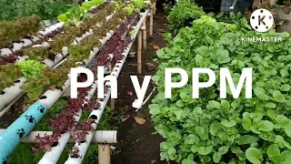 PH y PPM en módulos hidroponicos