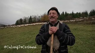 🎙️”Îi mai bine să fi slugă la tine decât la altu'...!”- ciobanul GHEORGHE FIȚIGĂU din SĂCEL, jud. MM