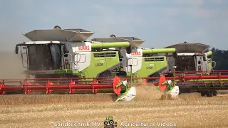 Claas - Fendt - John Deere - ++ / Getreideernte - Grain Harvest  2021