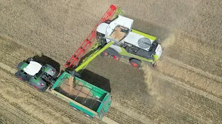 CLAAS LEXION 8700TT am Weizen dreschen / Abfahrer FENDT 936 mit HAWE Überladewagen / 4K