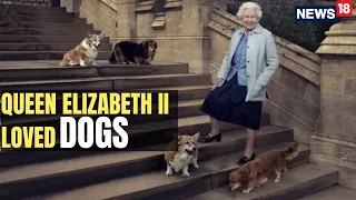 Queen Elizabeth's Love For Dogs | Queen Elizabeth Farewell News | Westminster Abbey | Corgi | News18