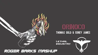 Thomas Gold & Corey James vs Tiësto - Orinoco vs Lethal Industry (Roger Barks Mashup)