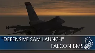 FALCON BMS: DEFENDING SAM LAUNCH