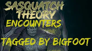 SASQUATCH THEORY - SHARING MY BIGFOOT ENCOUNTERS (ON THE SPOT INTERVIEW)