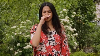 Why Do Allergies Make You Sneeze?