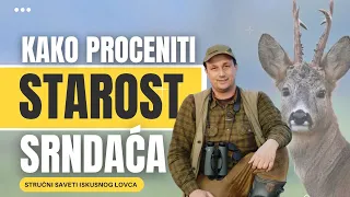 Kako proceniti starost srneće divljači i odabrati grlo za odstrel?