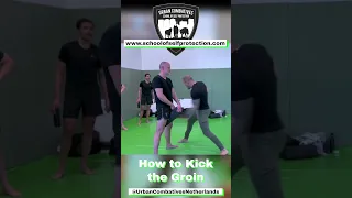 How to kick the groin!