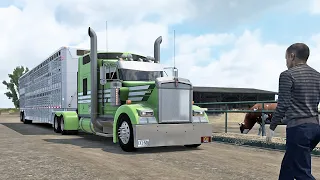 Sheep Thrills in Eastern Colorado - ATS American Truck Simulator