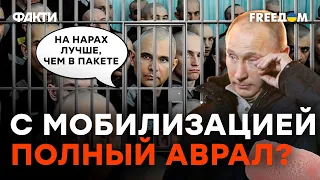 Даже ЗЕКИ отказываются УМИРАТЬ за ПУТИНА | Матвеев