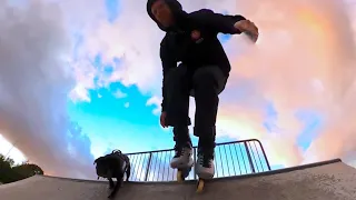 Pug Life - Urban Skating