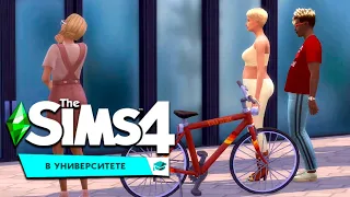 БЕССОННЫЕ НОЧИ ПЕРЕД ЭКЗАМЕНАМИ  - THE SIMS 4 Университет