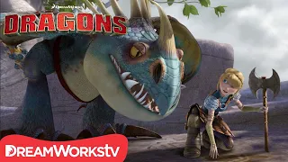 How to Tame Super Smart Tracker Dragons | HOW TO TRAIN YOUR DRAGON