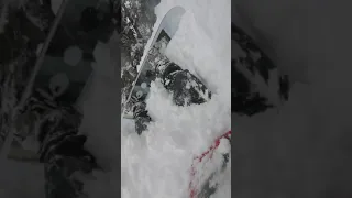 Falling into a Tree Well in Whistler Blackcomb -