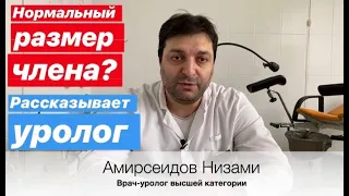 Какой нормальный размер члена? Только факты.