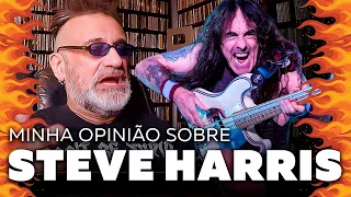 Steve Harris - Minha Opinião Sobre...