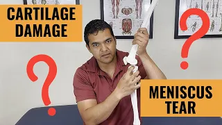 Knee Cartilage Damage VS Meniscus Tear - Which Do You Have?