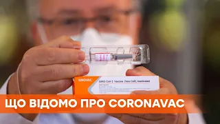 Вакцина от коронавируса CoronaVac - все, что известно о препарате