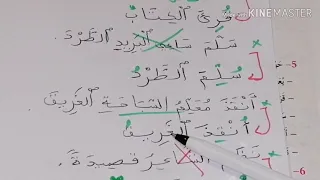 تقويم ودعم ص 219 و220 شرح وتحليل ومراجعة المستوى السادس ابتدائي المنار في اللغة العربية