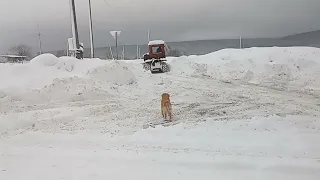 Советский бульдозер, чистит снег в селе Нижний Шкафт.