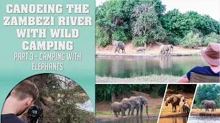 Camping with elephants 🐘 - Canoeing the Zambezi River & wild camping in Zambia  - Part Three