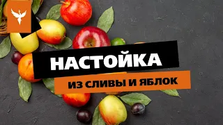 рДЖ 69: 🍷 Настойка из сливы и яблок🍎 Что выбрать аромат или насыщенность? Что висело лучше не станет