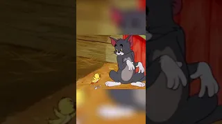 Tom Cook Duck || Sad Status 😭😢😩 || #shorts #tom #tomandjerry