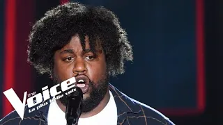 Germaine Sablon - Le chant des partisans | Luc Laversanne | The Voice France 2021 | Blinds...