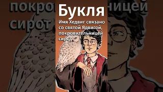 Почему именно они? Животные в «Гарри Поттере». Ссылка на бесплатную подписку в комментах! #shorts