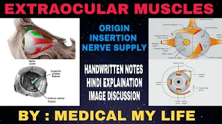 EXTRAOCULAR MUSCLES - 1 | Head And Neck | Anatomy