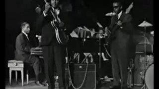 Otis Rush Berlin1966 / All Your Love