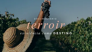 Documentário - Família Salton: Excelência como destino – Terroir