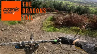 Caersws Bike Park | The Dragons Tail