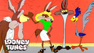 20 scrupulis Wile E. Coyote calida Mes | Looney Tunes | @GenWBLatino