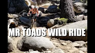 Mr Toads Wild Ride | Saxon Creek | Mtn Bike